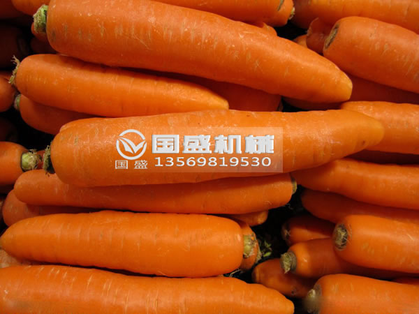 國(guó)盛胡蘿卜脫水?dāng)D壓機(jī) 國(guó)盛胡蘿卜脫水?dāng)D壓機(jī)