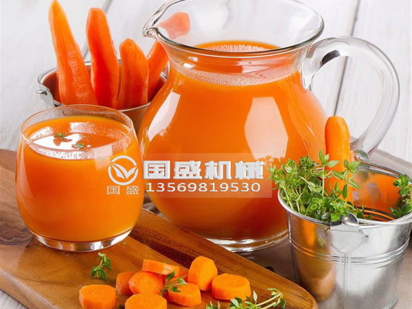 脫水紅蘿卜絲壓榨機(jī) 脫水紅蘿卜絲壓榨機(jī)